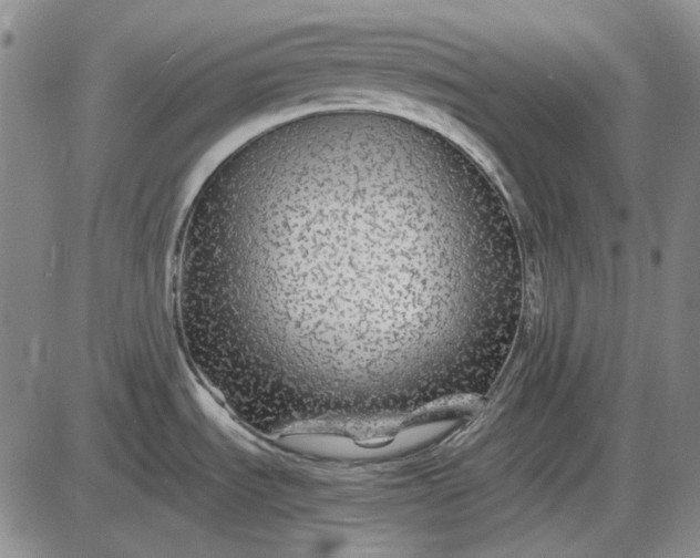 X0000085831535200703301606