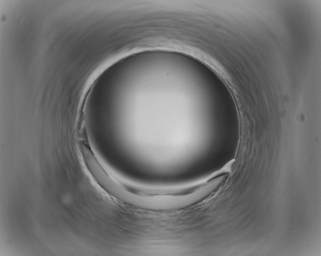 X0000085831536200703301606