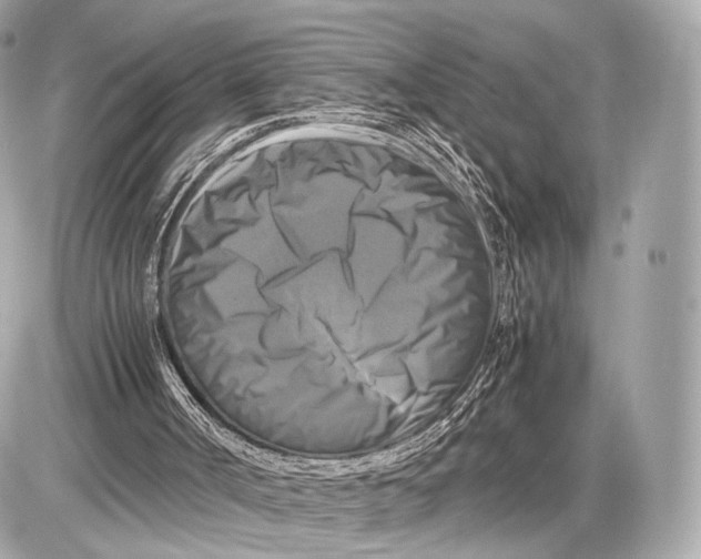 X0000085830002200704091710