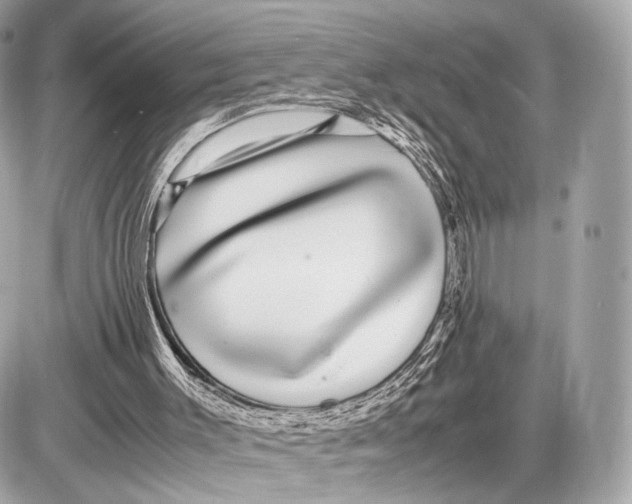 X0000085830003200704091710
