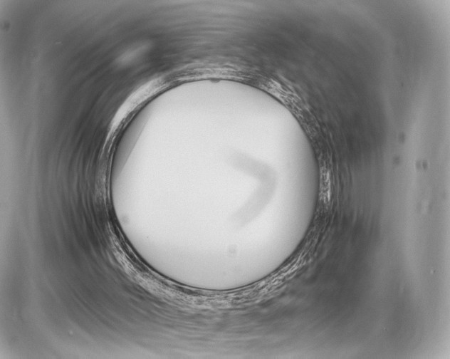 X0000085830004200704091710