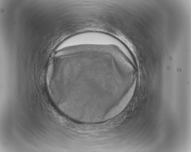 X0000085830009200704091709