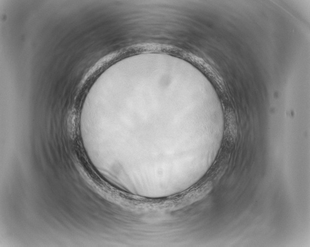 X0000085830016200704091709