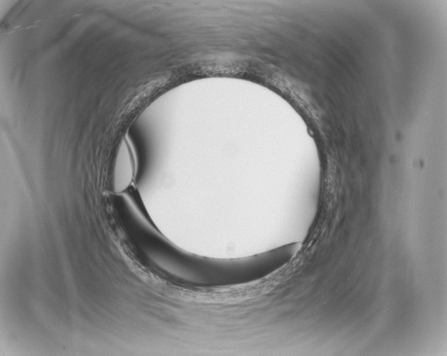 X0000085830017200704091709