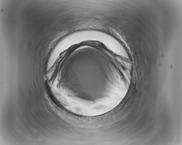 X0000085830019200704091709
