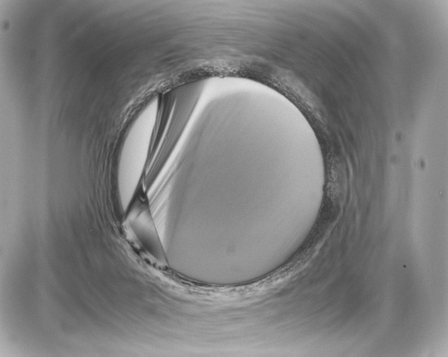 X0000085830023200704091709