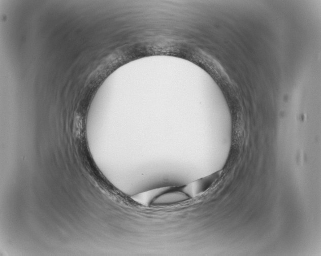X0000085830025200704091709