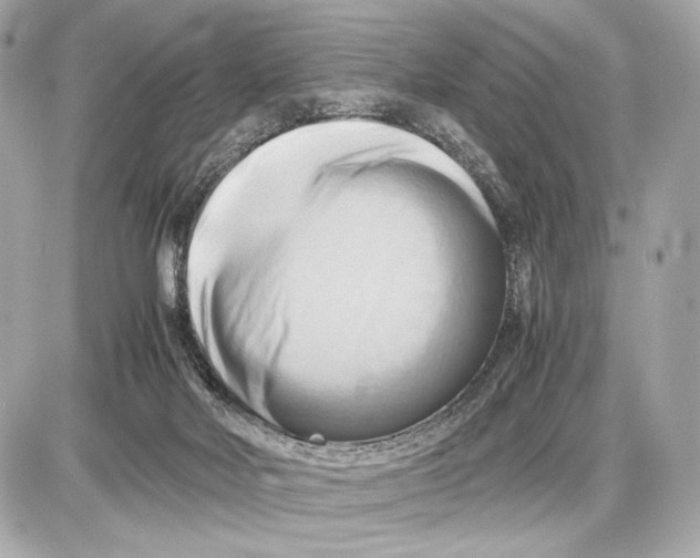X0000085830026200704091709