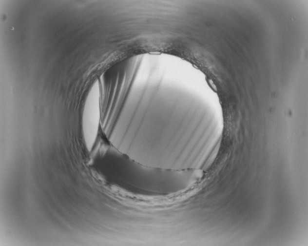 X0000085830027200704091709
