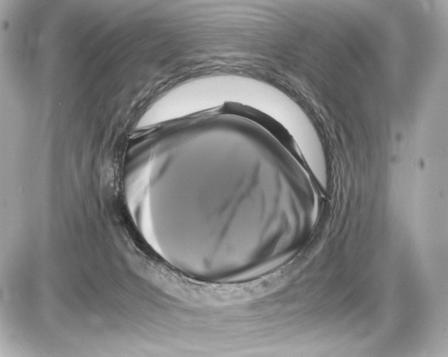 X0000085830031200704091709