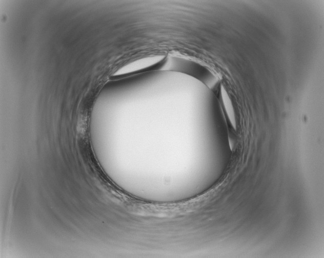 X0000085830033200704091709