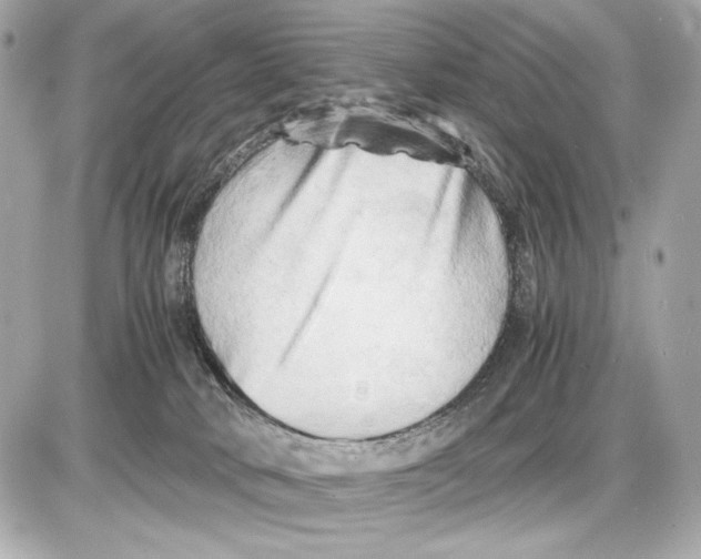 X0000085830034200704091709