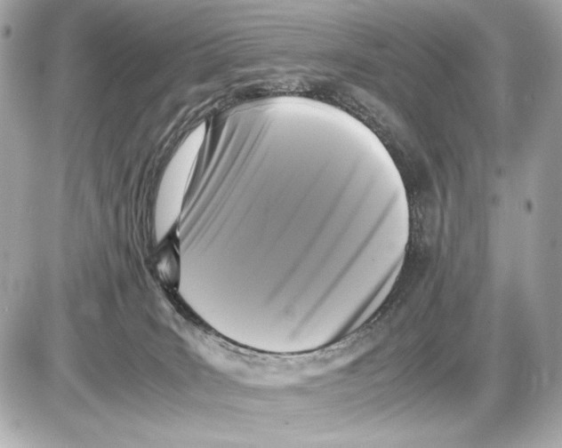X0000085830035200704091709
