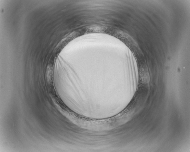 X0000085830036200704091709