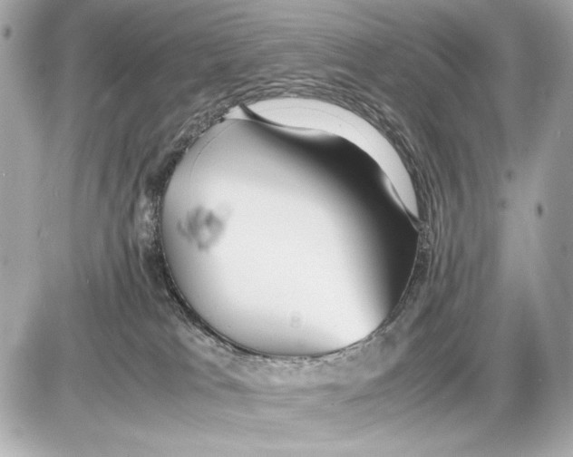 X0000085830037200704091709