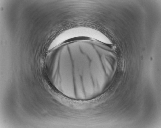 X0000085830039200704091709