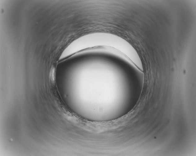 X0000085830041200704091709