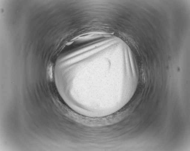 X0000085830042200704091709