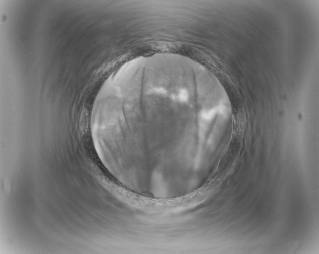 X0000085830043200704091709