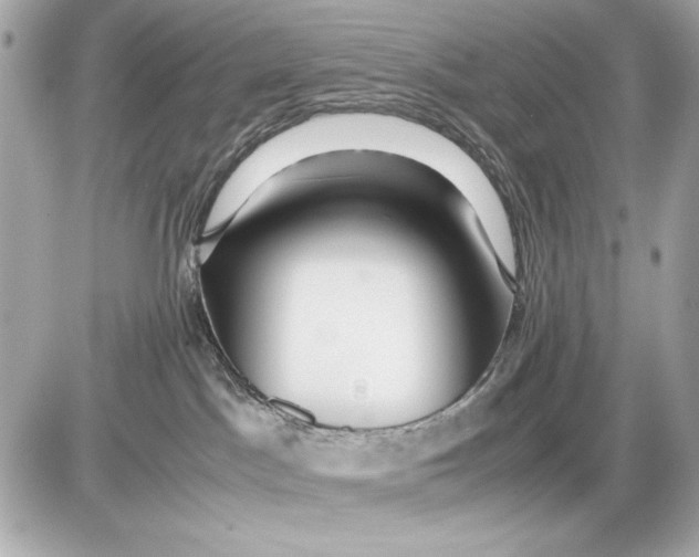 X0000085830045200704091709
