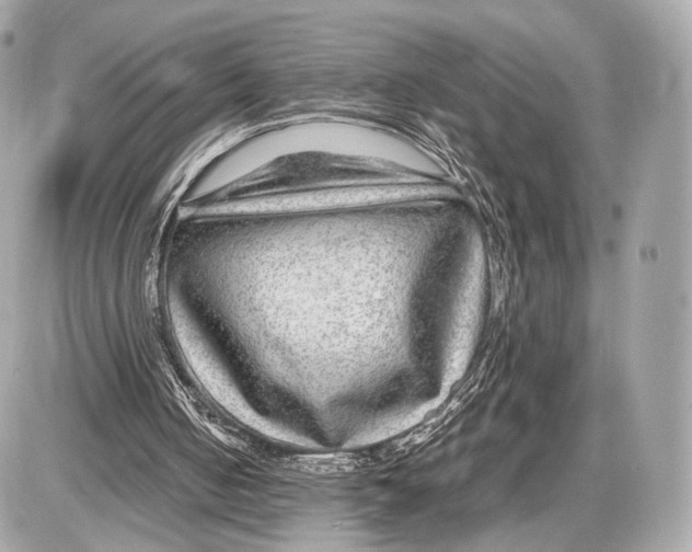 X0000085830050200704091708