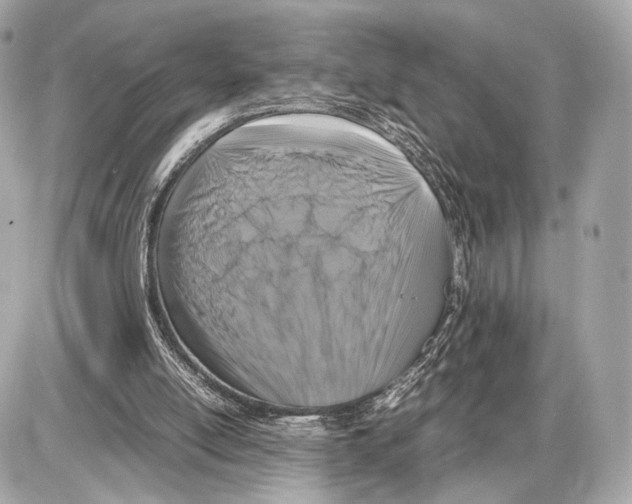 X0000085830054200704091708