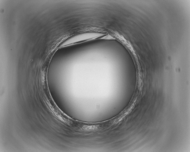 X0000085830057200704091708