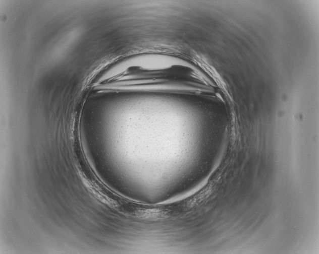 X0000085830058200704091708
