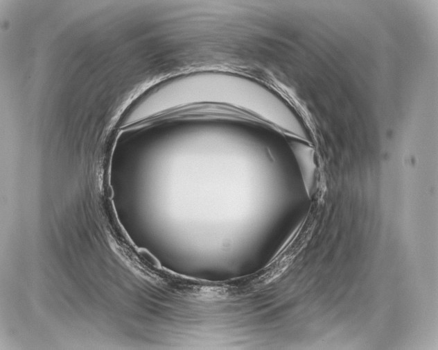 X0000085830060200704091708
