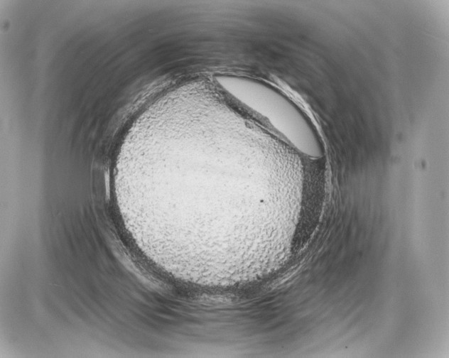 X0000085830061200704091708