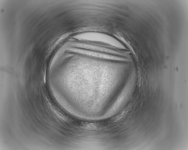 X0000085830062200704091708