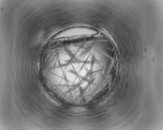 X0000085830063200704091708