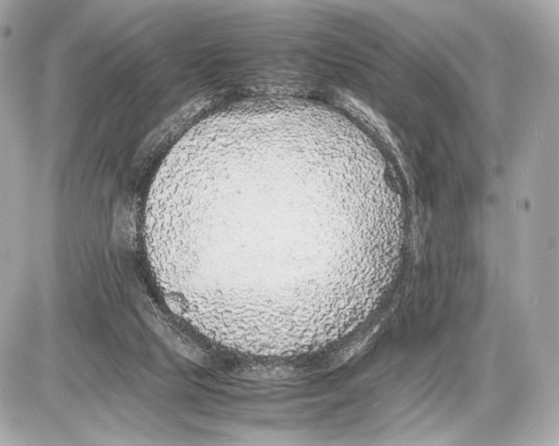 X0000085830065200704091708