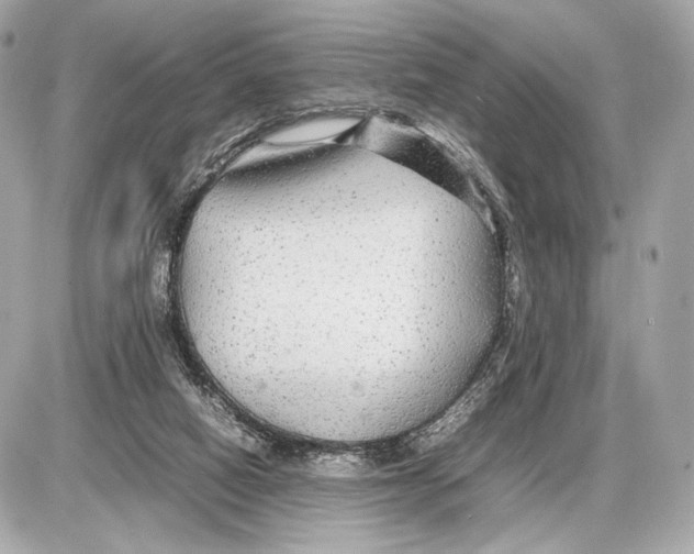 X0000085830066200704091708