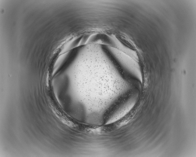 X0000085830068200704091708