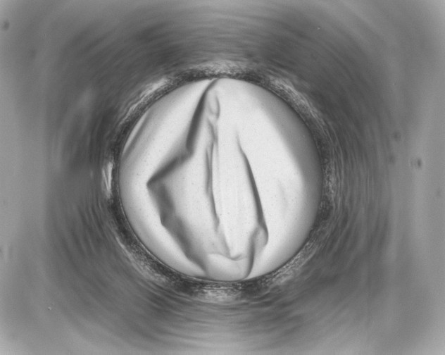 X0000085830070200704091708