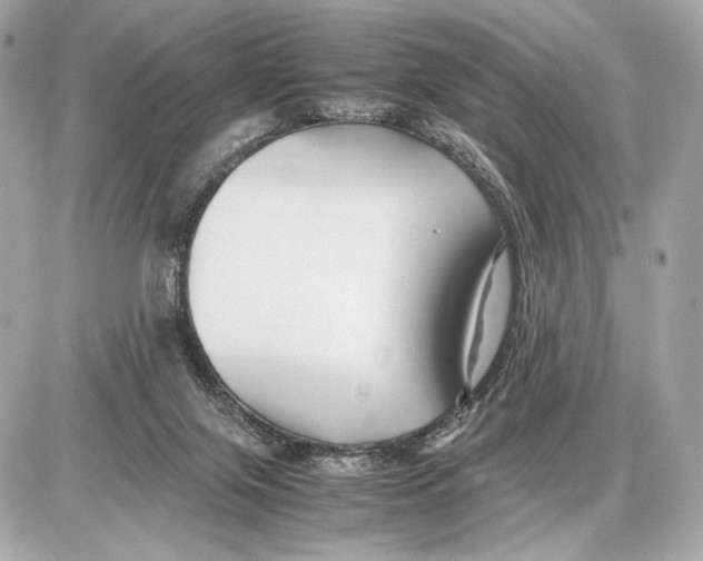 X0000085830071200704091708