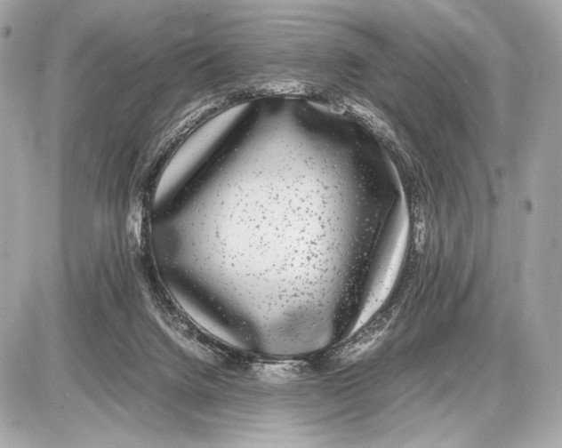 X0000085830072200704091708