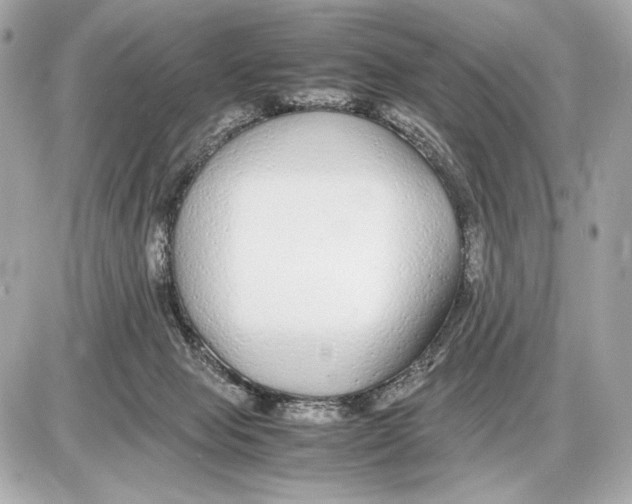 X0000085830077200704091708