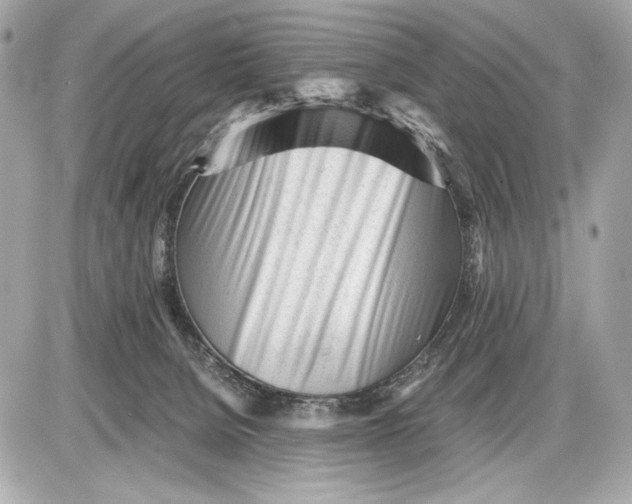 X0000085830080200704091709