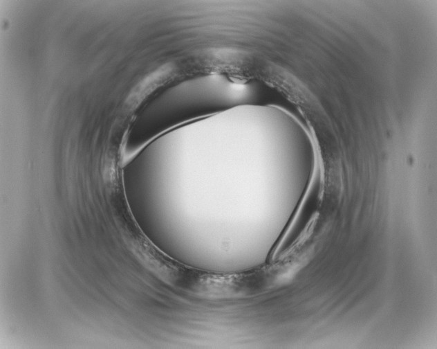 X0000085830084200704091709