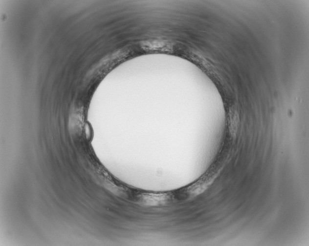 X0000085830085200704091709