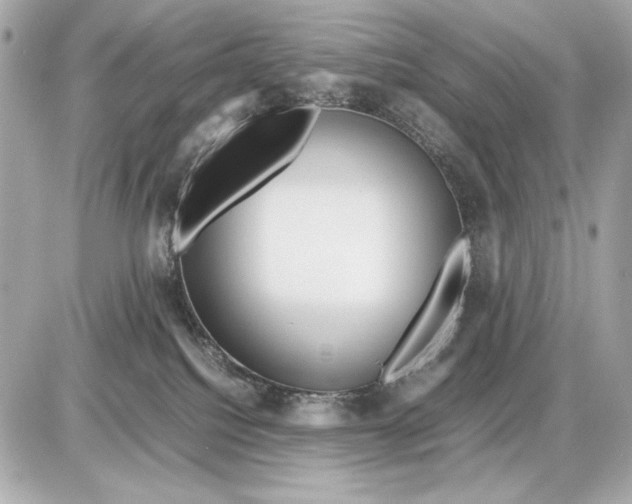 X0000085830088200704091709
