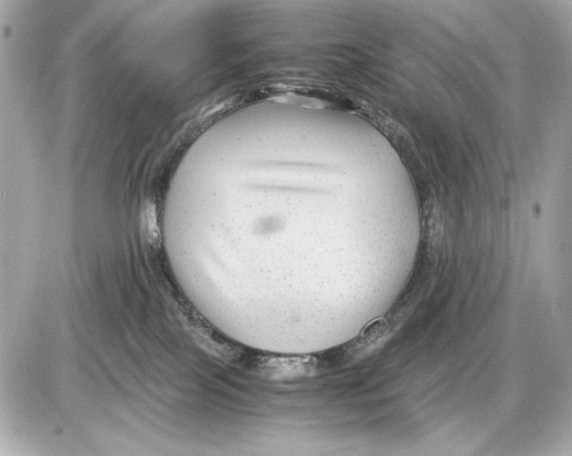 X0000085830089200704091709
