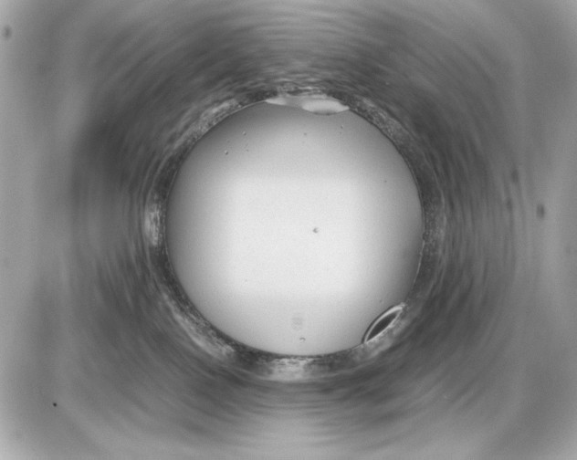 X0000085830090200704091709
