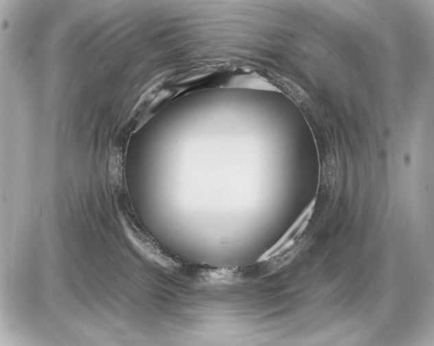 X0000085830092200704091709