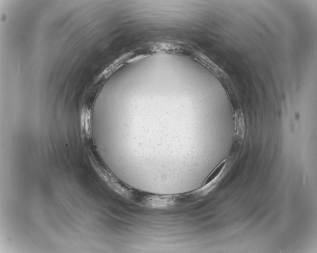 X0000085830094200704091709