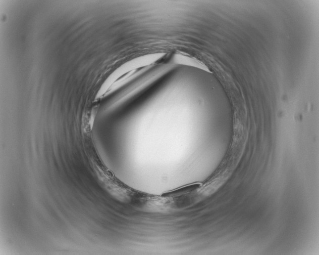 X0000085830096200704091709