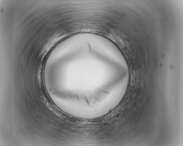 X0000085830098200704091708