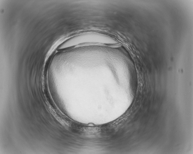 X0000085830102200704091708
